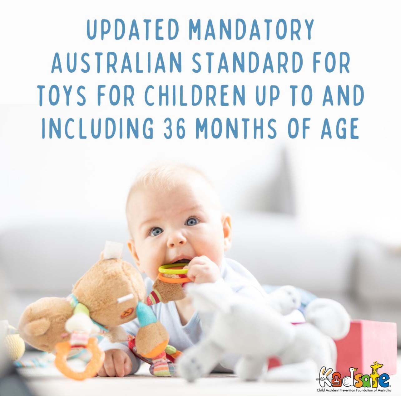 Mandatory Toy Standards